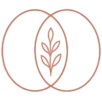 favicon.webp
